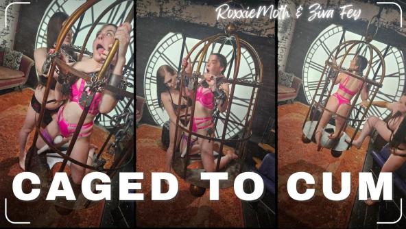 4K/ Ziva Fey - Roxxie Moth Has Ziva Caged To Cum