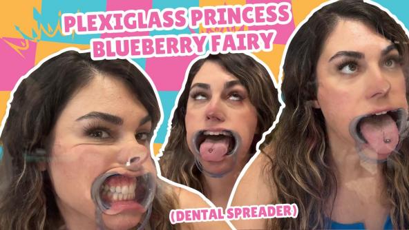 4K/ Plexiglass Princess - Blueberry Fairy - Dental Apparatus