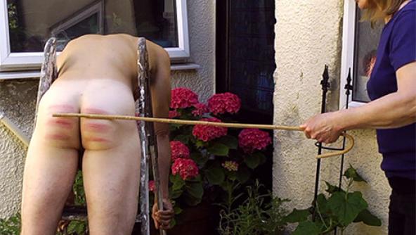 A Sharp Shock in the Garden - WMV