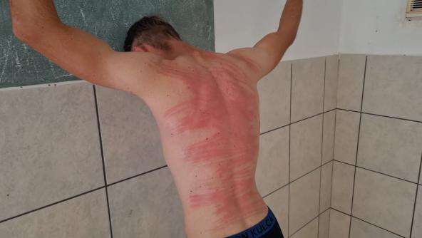 The Martinet For Ted